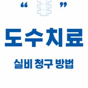 도수 치료 실비 서류