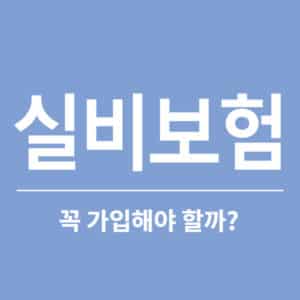 실손 실비 차이