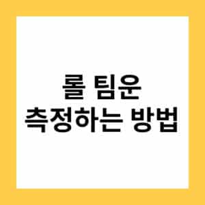 롤 팀운 확인