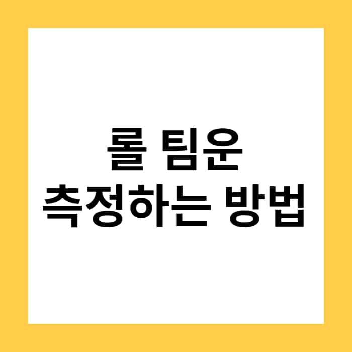 롤 팀운 확인