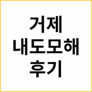내도모해 후기