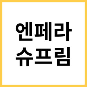 넥센 엔페라 슈프림 장점과 단점