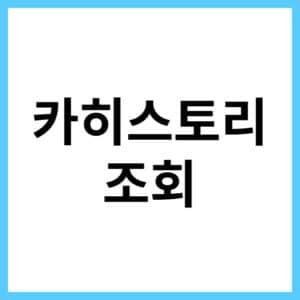 카히스토리 조회