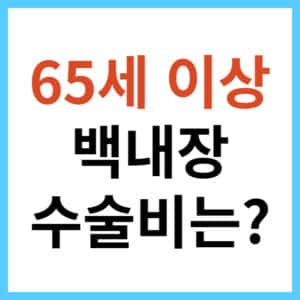 백내장 수술 정부 지원