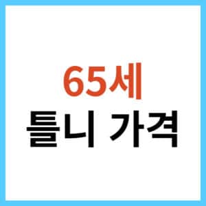 65세 이상 틀니 제작비