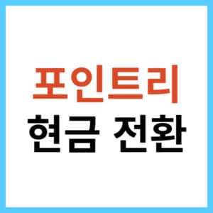 포인트리 현금 인출하는 방법