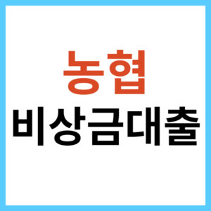 농협은행 비상금 대출
