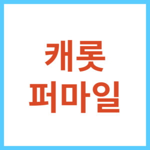 캐롯 퍼마일 자동차보험