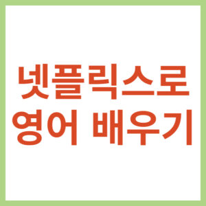 넷플릭스로 영어 배우기