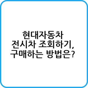 현대자동차 전시차 장단점