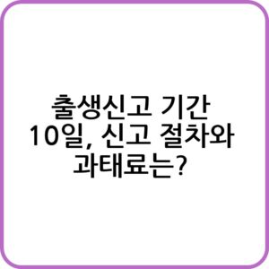 출생신고하는 법