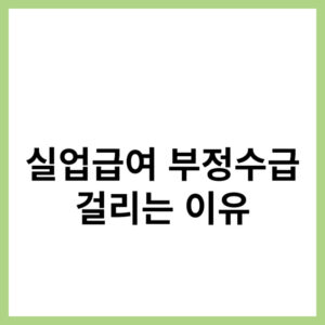 실업급여 부정수급 걸리는 이유와 사례