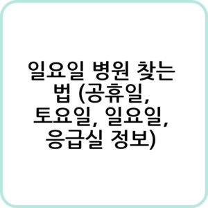 일요일 진료하는 병원 찾기
