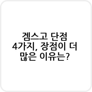 겜스고 단점 및 장점 비교