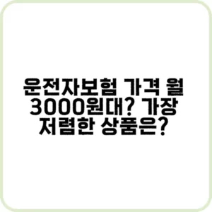 보험사별 운전자보험 가격 비교