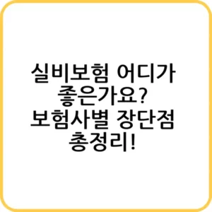실비보험 어디가 좋은가요?