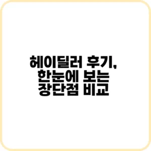 헤이딜러 후기와 판매 절차