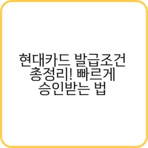 현대카드 발급조건 요약